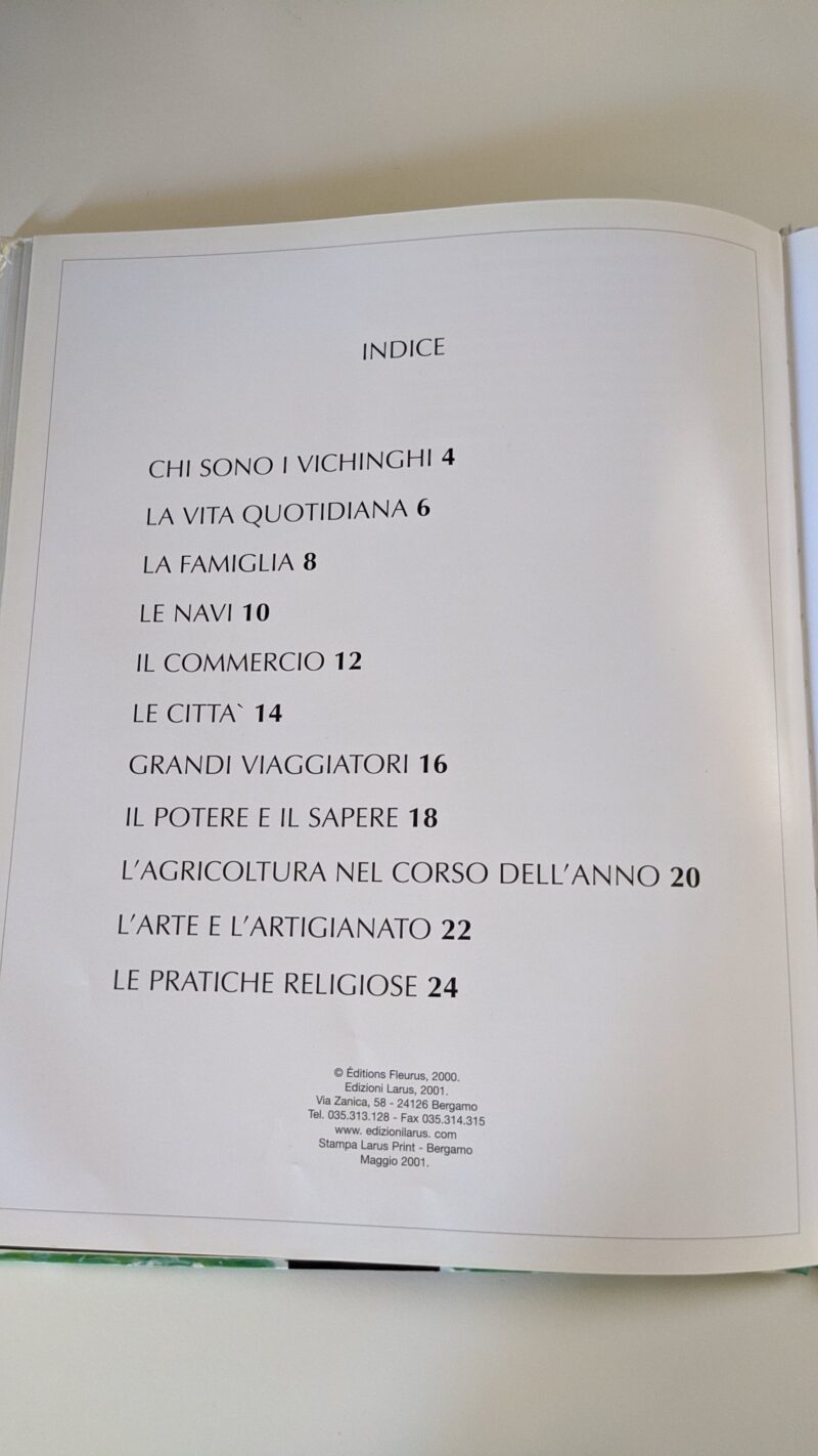 I Vichinghi