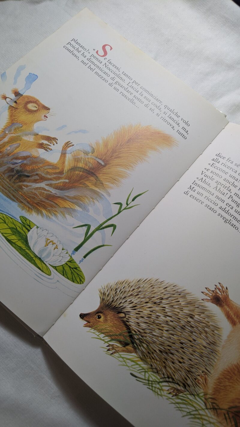 Nocciolino Scoiattolino