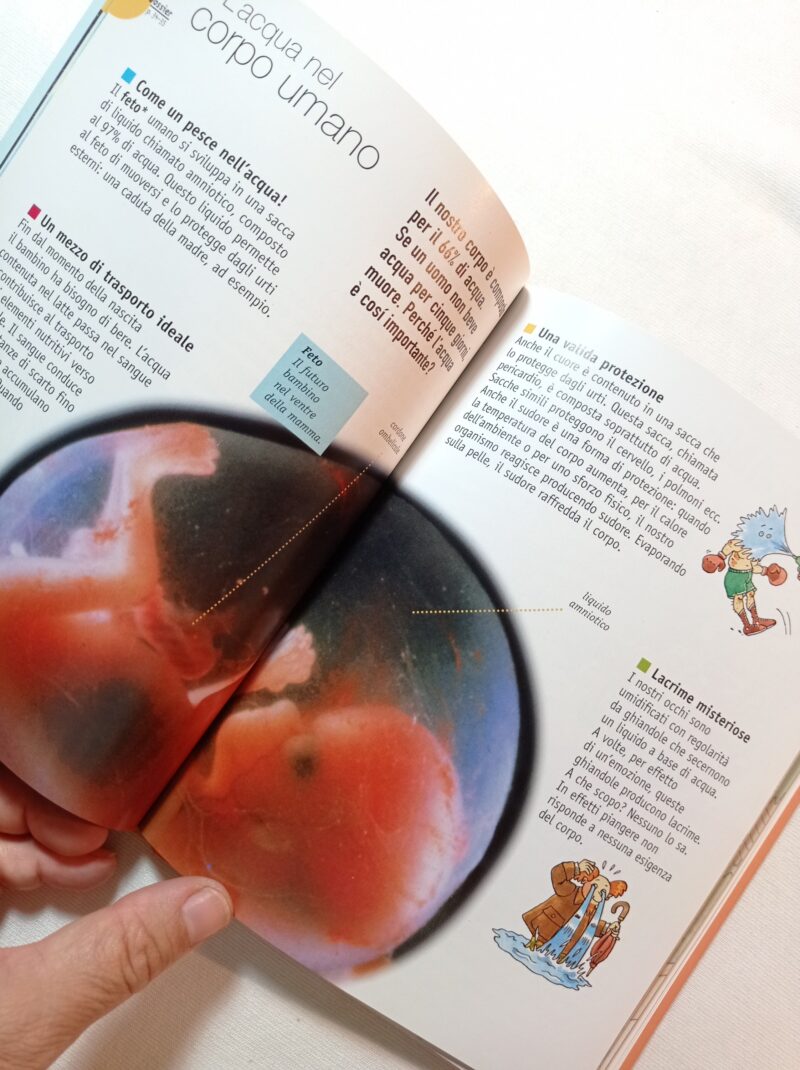 Educational scienza. L'acqua un bene prezioso