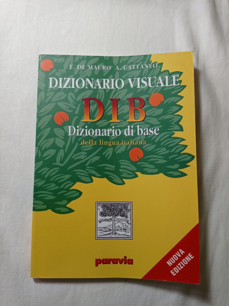 Dizionario visuale