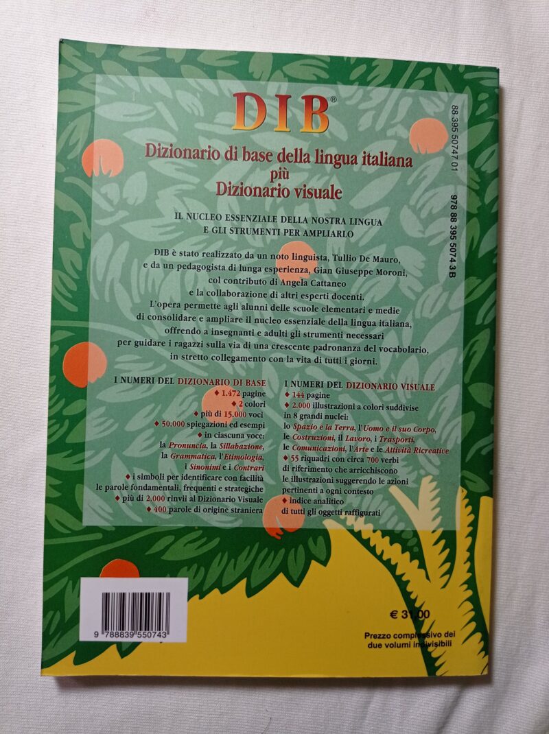 Dizionario visuale
