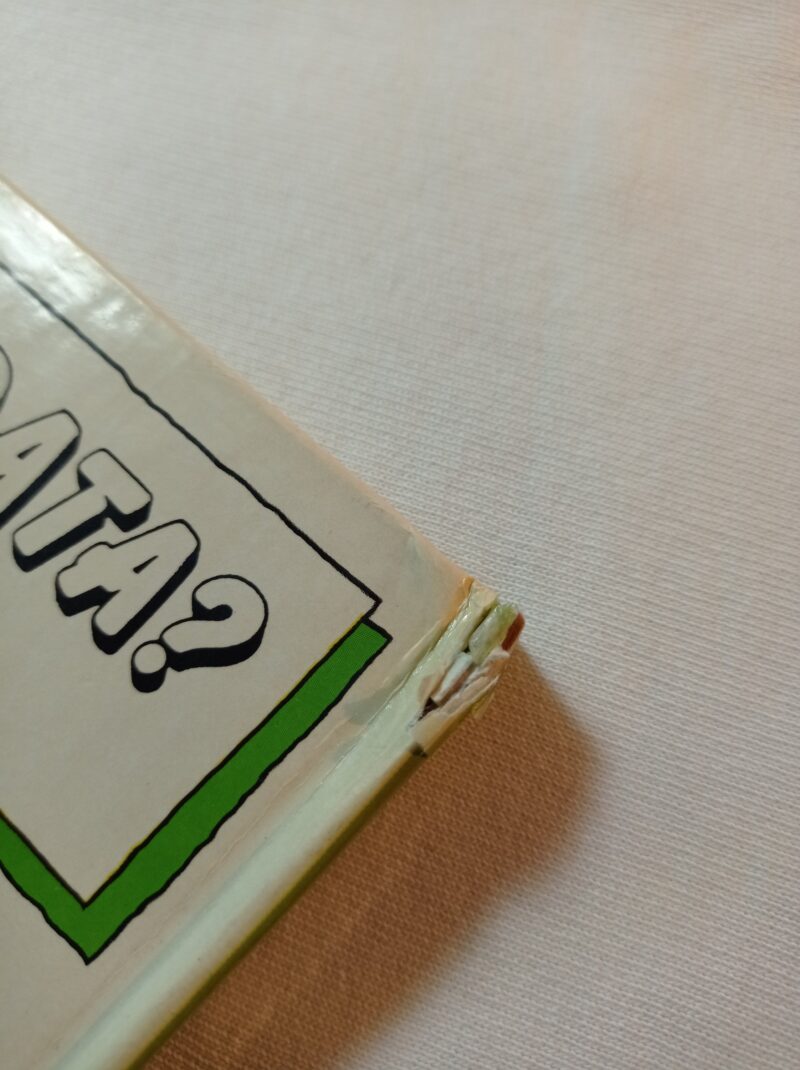 La ruota dei Quiz con l'orso geniale