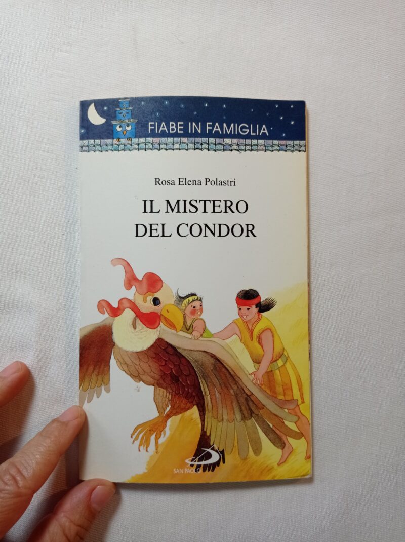 Il mistero del Condor