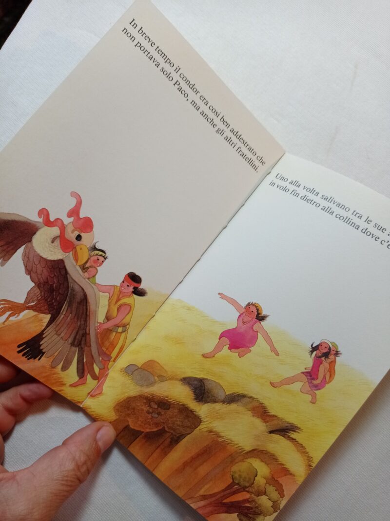 Il mistero del Condor