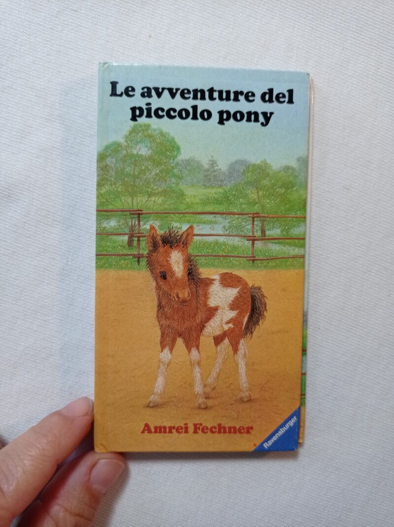 Le avventure del piccolo pony