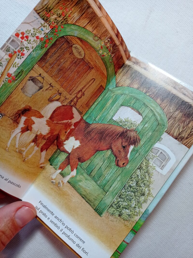 Le avventure del piccolo pony
