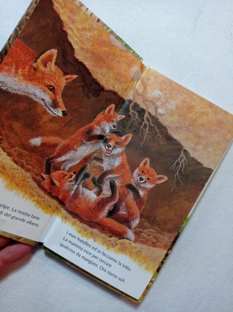Le avventure della piccola volpe