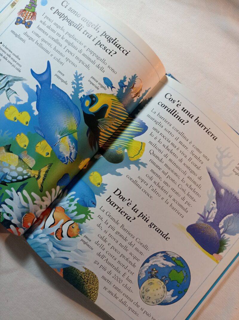 I mari e gli oceani