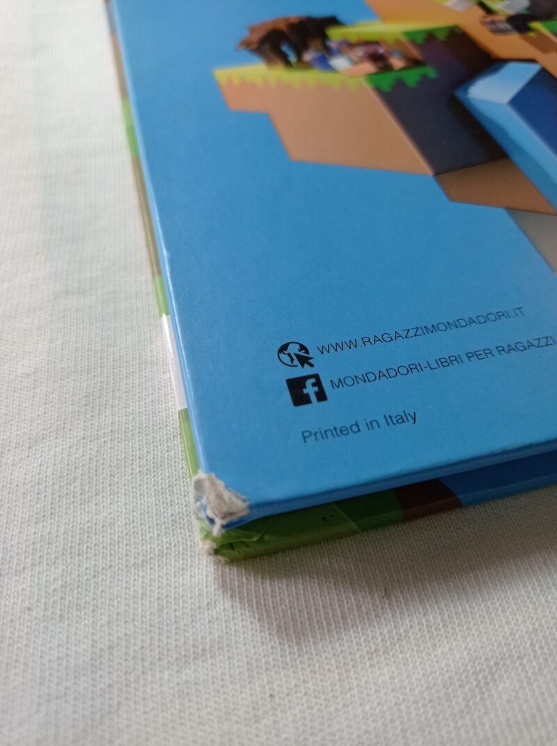 Minecraft la mia prima guida