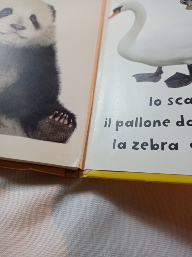 Il meraviglioso mondo dei colori