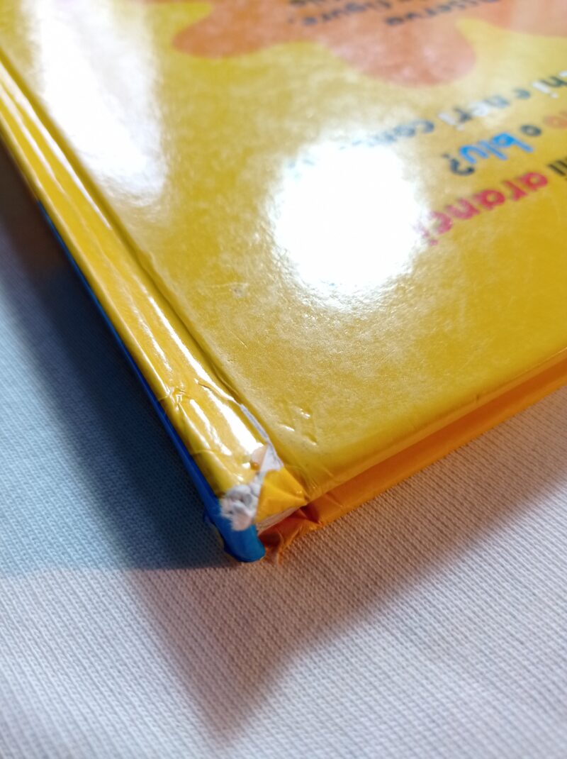 Il meraviglioso mondo dei colori