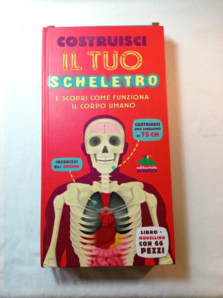 Costruisci il tuo scheletro e scopri come funziona il corpo umano