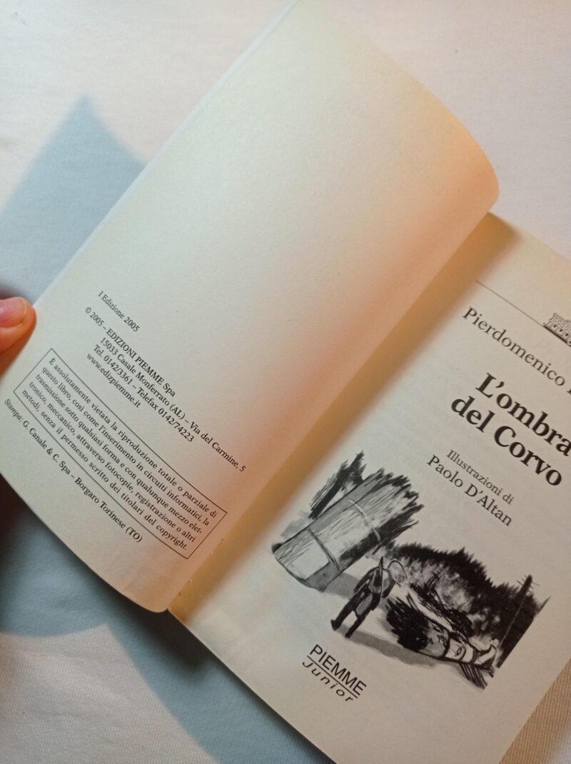 L'ombra del corvo