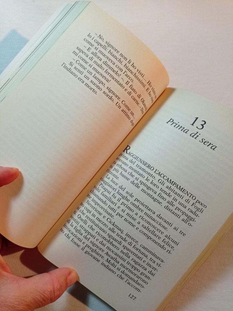L'ombra del corvo