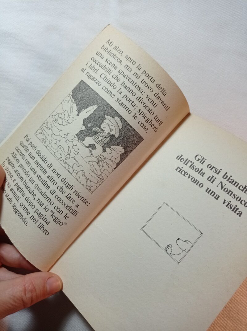 Il libro degli orsi bianchi