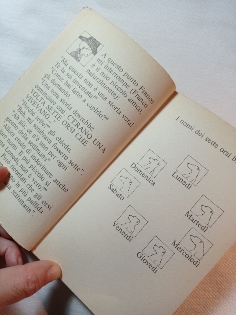 Il libro degli orsi bianchi