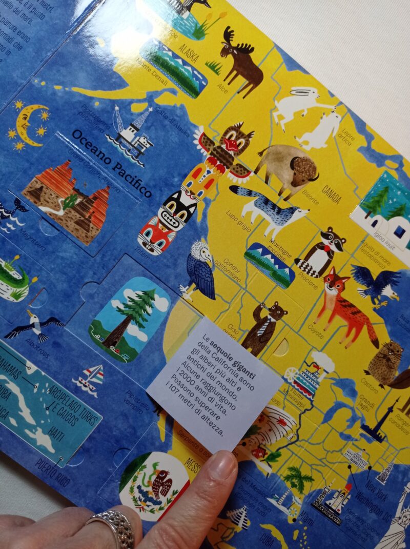 I sette continenti del mondo