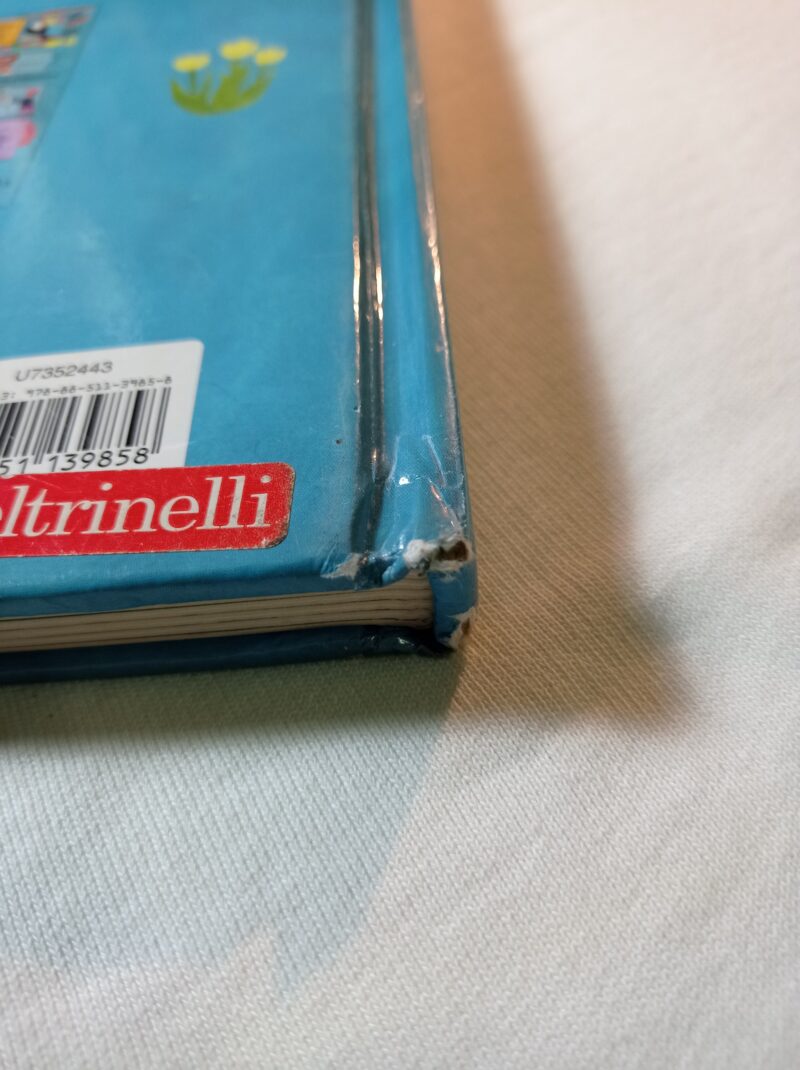 I sette continenti del mondo