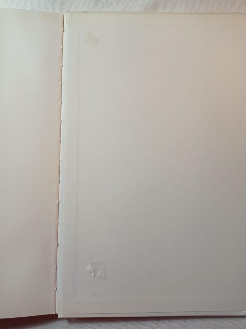 Una strana notte di Natale