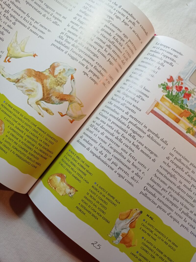 Vieni a conoscere gli animali della fattoria