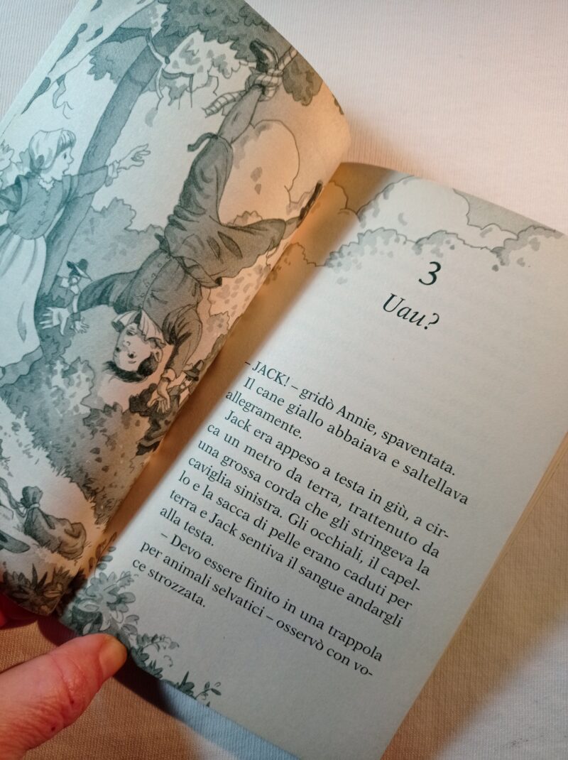 La magica casa sull'albero. In viaggio verso l'America