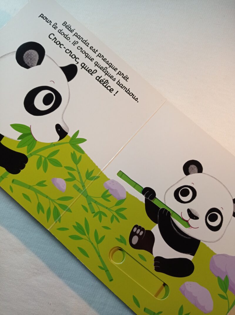 Bonne nuit bébé panda! (Francese)