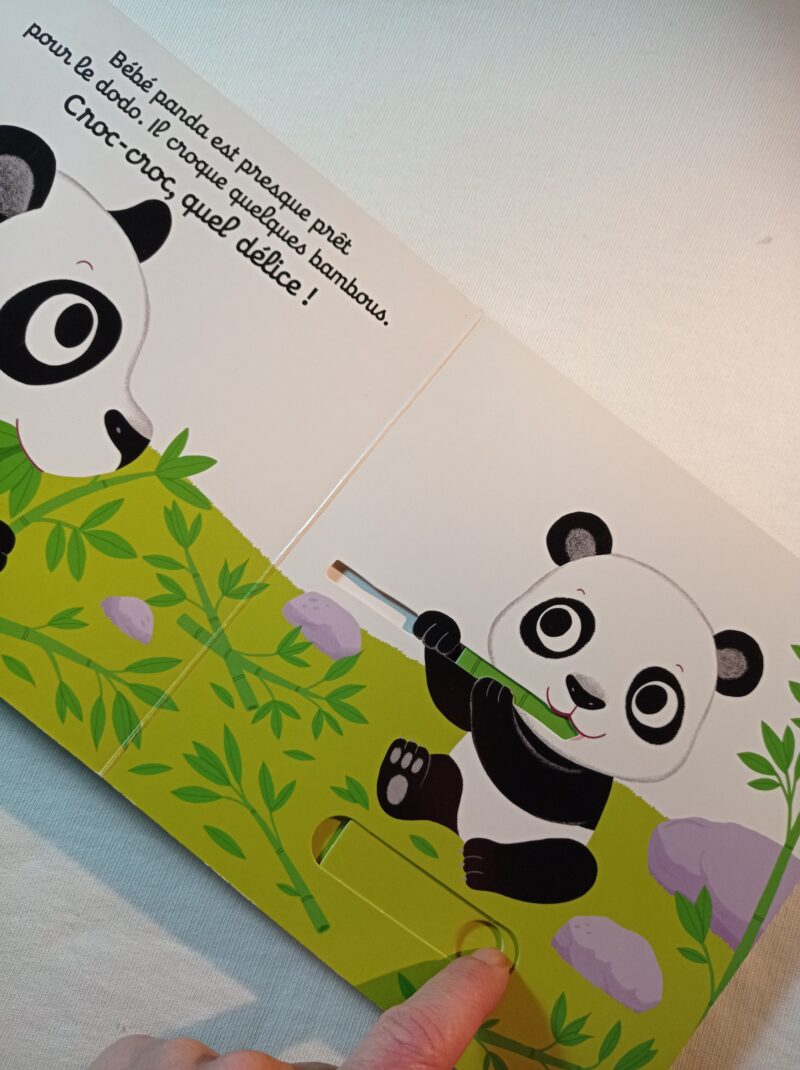 Bonne nuit bébé panda! (Francese)