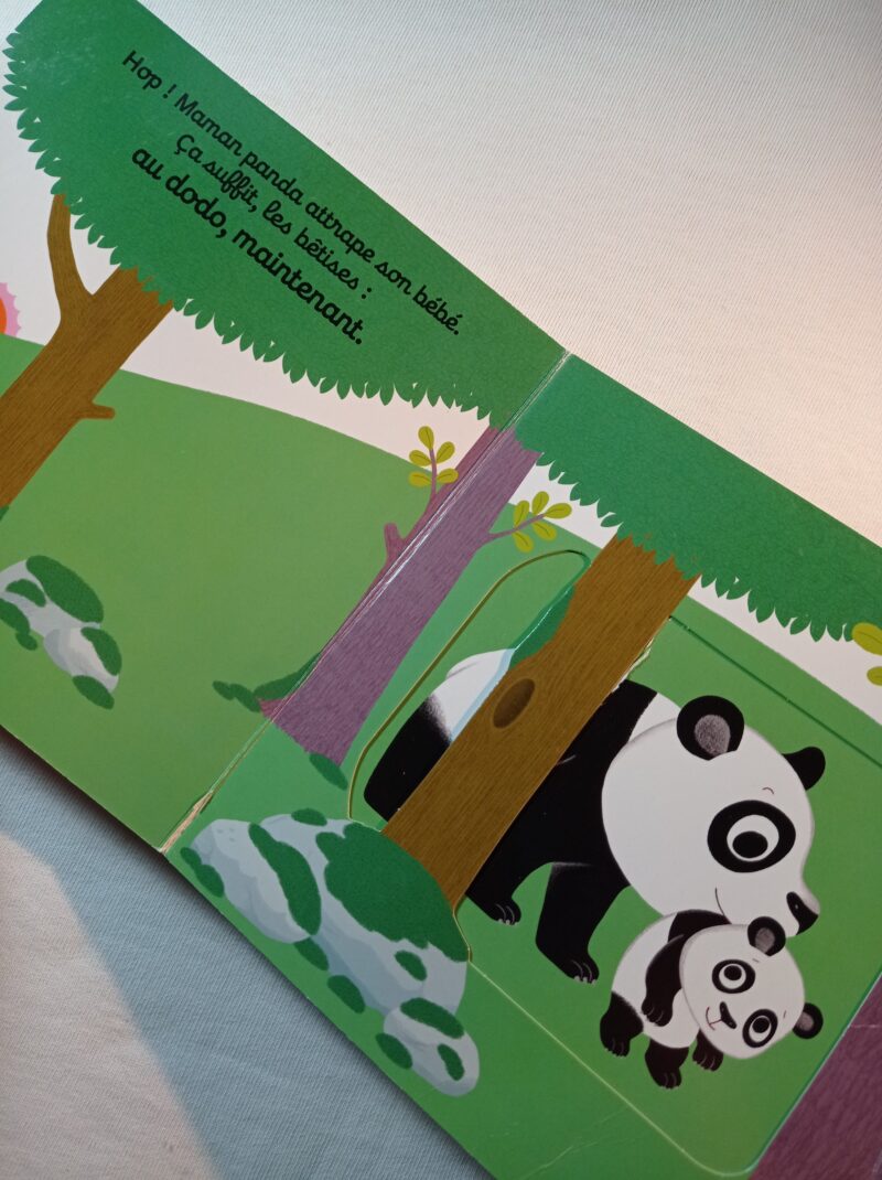 Bonne nuit bébé panda! (Francese)