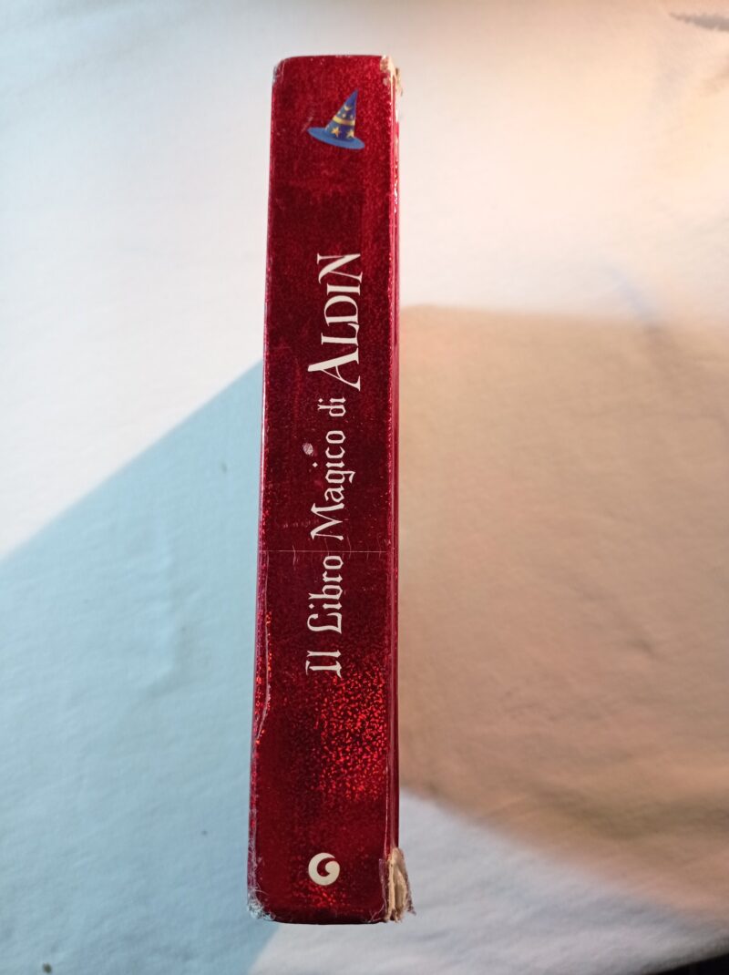 Il libro magico di Aldin