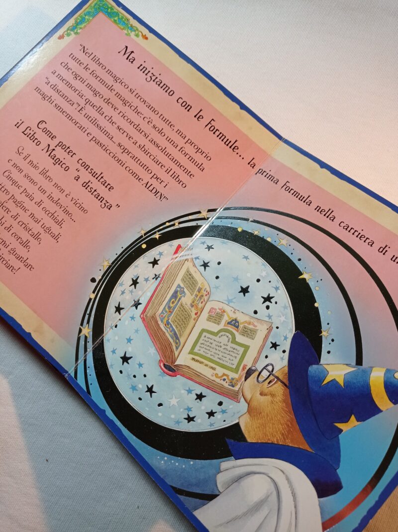Il libro magico di Aldin