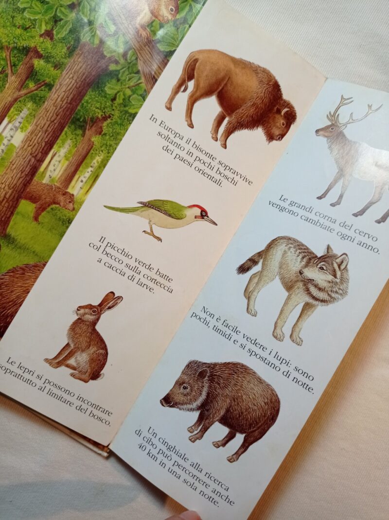 Animali del bosco