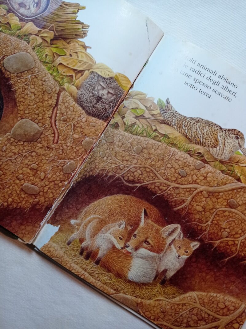 Animali del bosco