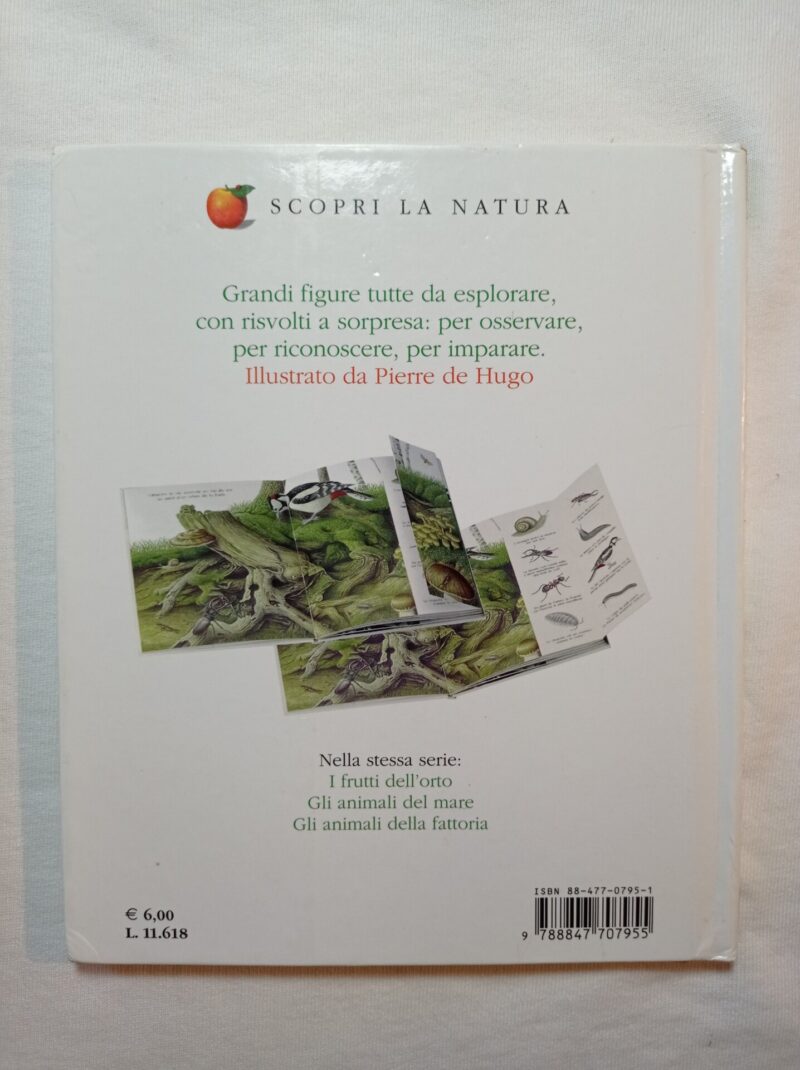Animali del bosco