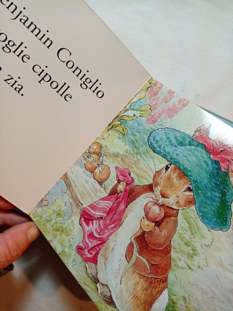 I cubetti di Peter Coniglio
