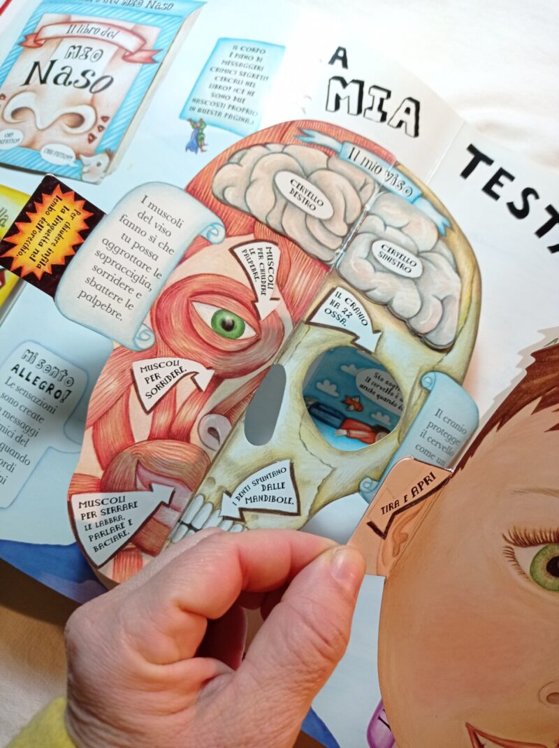Il grande libro pop-up del corpo umano