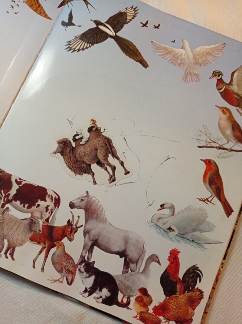 Cerca gli animali della fattoria