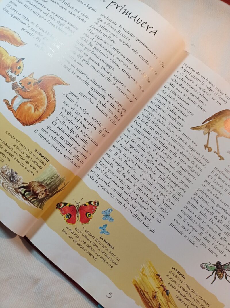 Chi ha paura degli Animali del bosco?