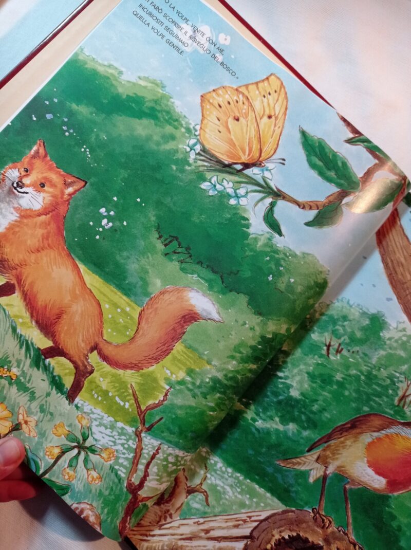 Chi ha paura degli Animali del bosco?