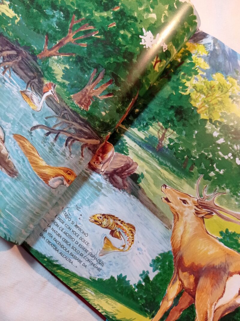 Chi ha paura degli Animali del bosco?