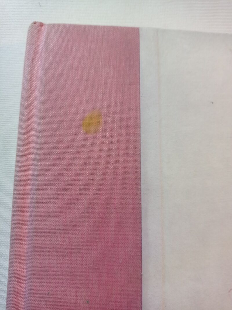 Mille stelle per Aurelia