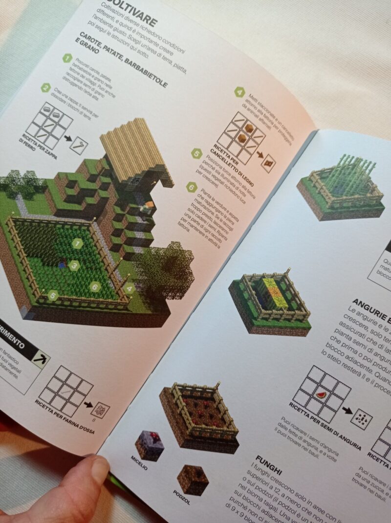 Minecraft Guida all'esplorazione