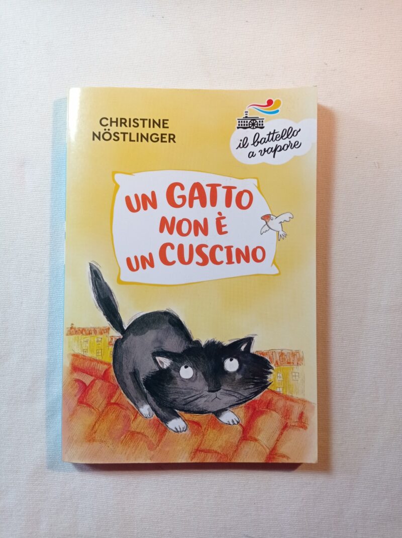 Un gatto non è un cuscino
