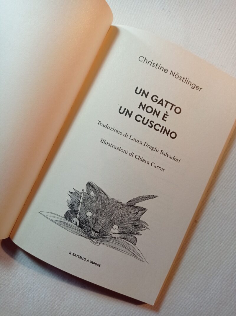 Un gatto non è un cuscino