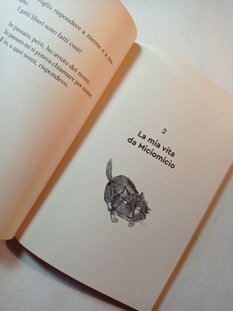 Un gatto non è un cuscino