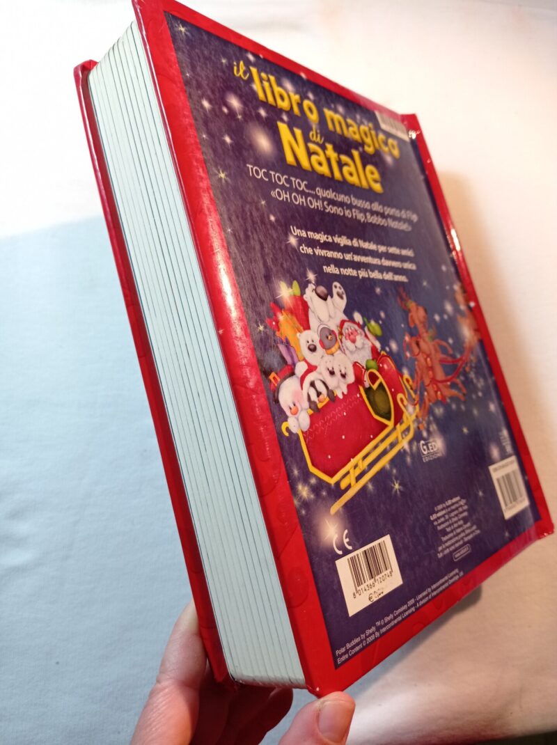 Il libro magico di Natale