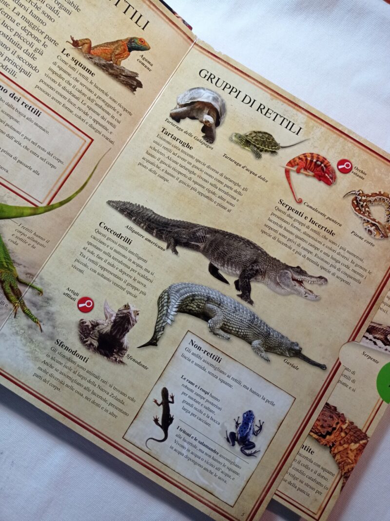 Naturalia. Rettili