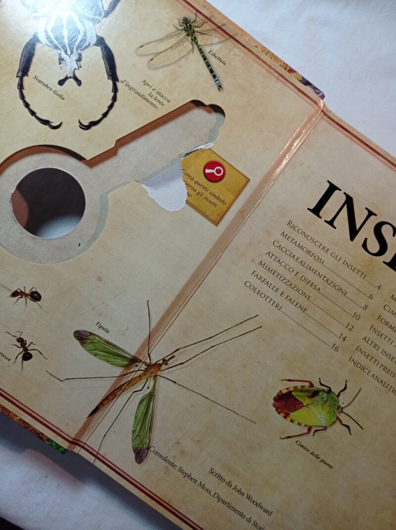Naturalia. Insetti