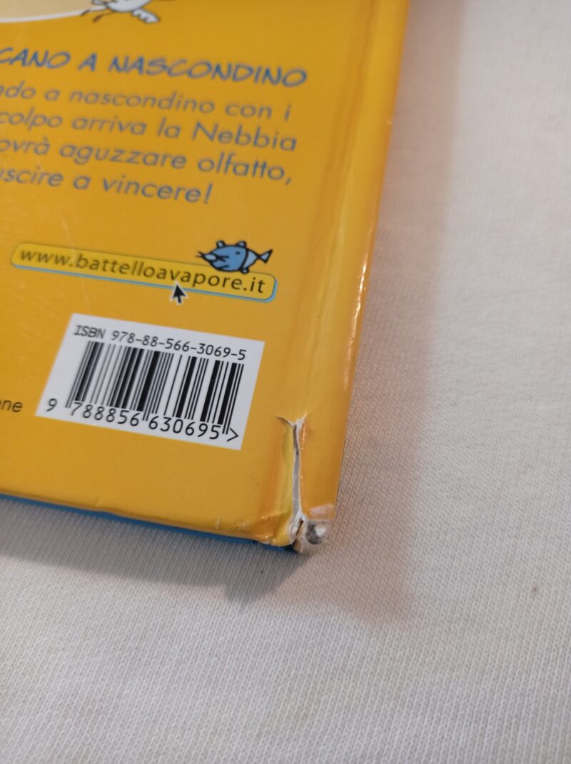 I cinque sensi giocano a nascondino