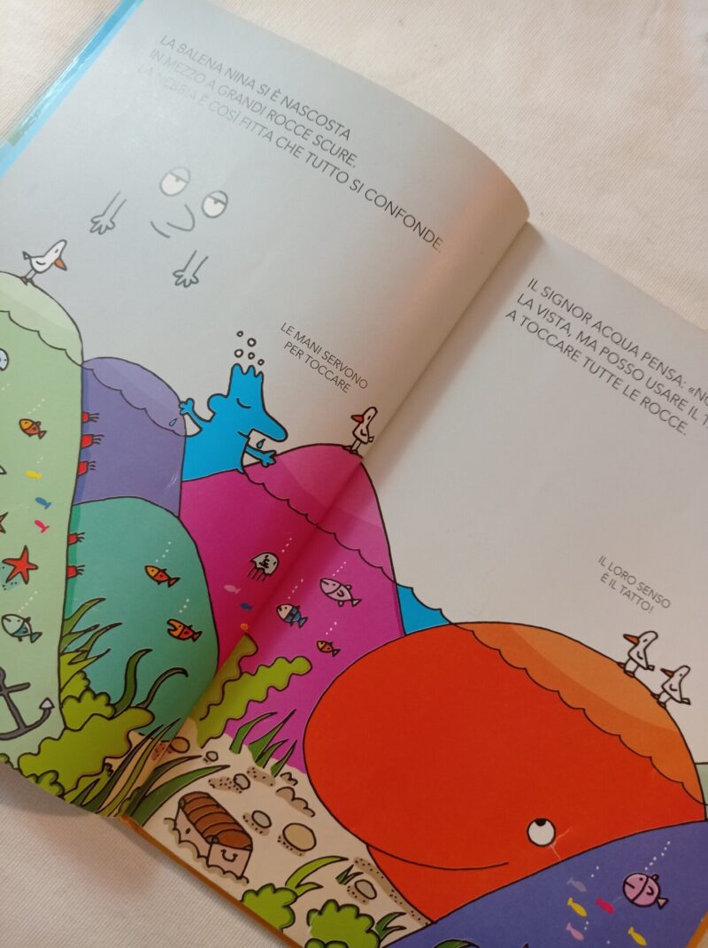 I cinque sensi giocano a nascondino