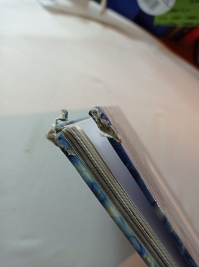 Il mio fantastico libro di Natale